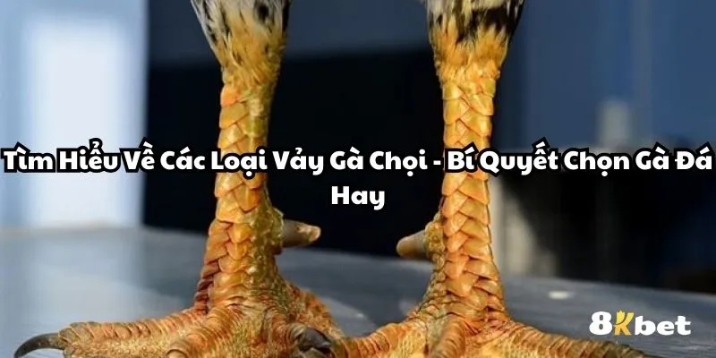 cac-loai-vay-ga-choi