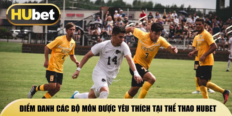 diem-danh-cac-bo-mon-duoc-yeu-thich-tai-the-thao-hubet